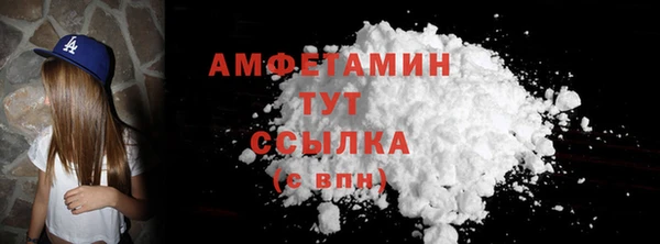 ПСИЛОЦИБИНОВЫЕ ГРИБЫ Ельня