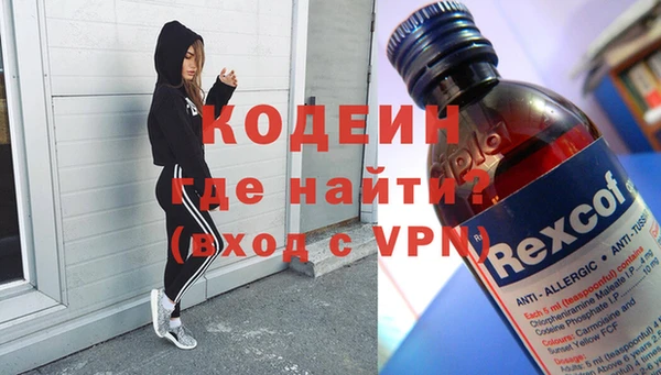 ГАЛЛЮЦИНОГЕННЫЕ ГРИБЫ Гусев