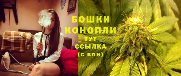молекула духа Дмитровск