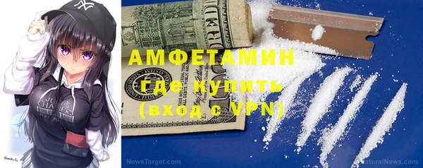 ПСИЛОЦИБИНОВЫЕ ГРИБЫ Ельня