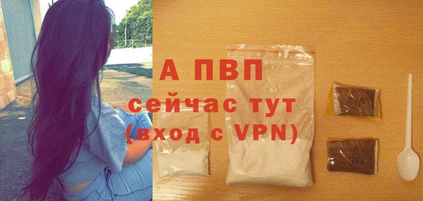 молекула духа Дмитров