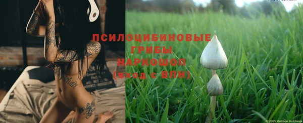 молекула духа Дмитров