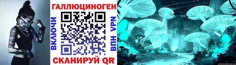 Галлюциногенные грибы Psilocybine cubensis  закладки  Щёлково 